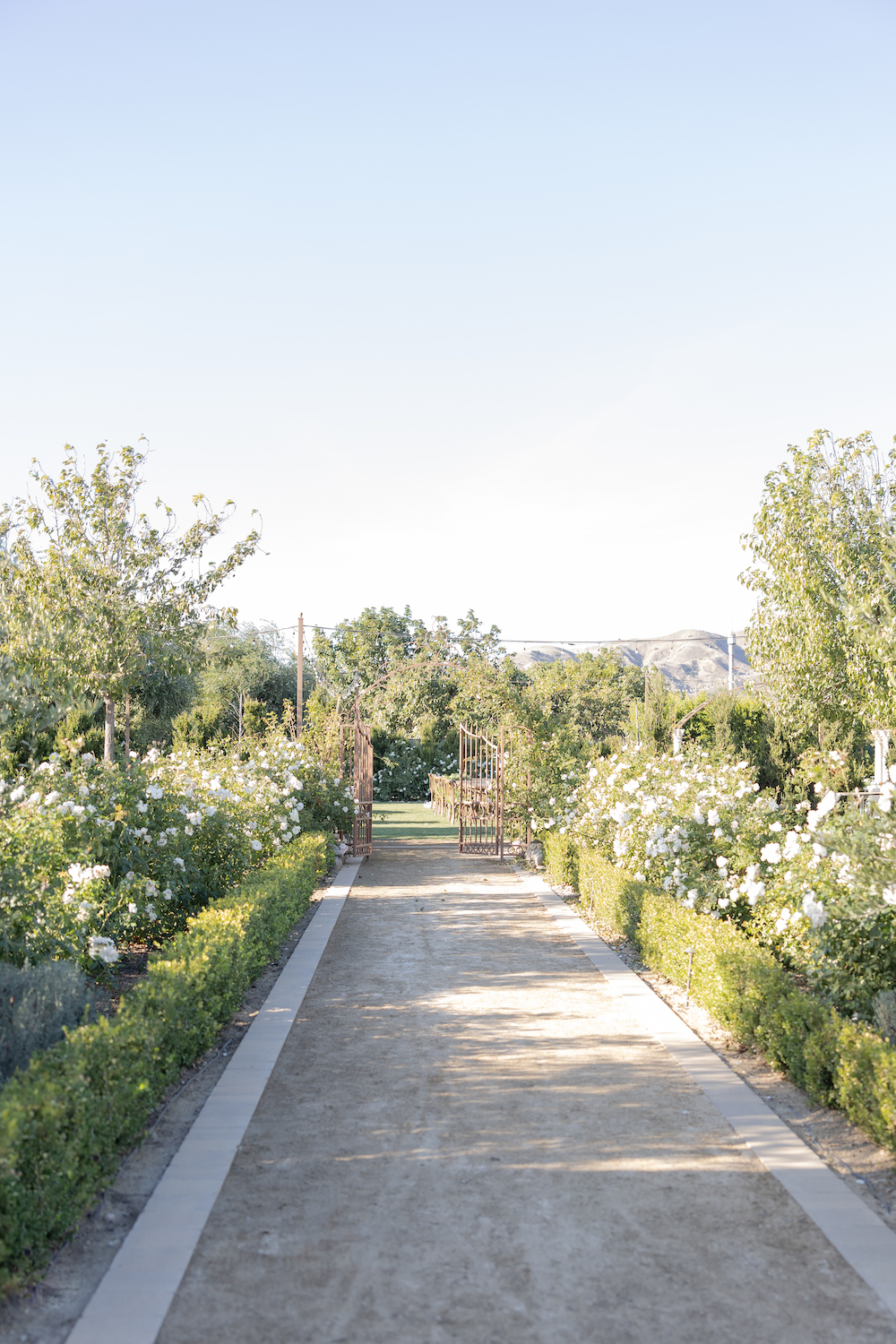 Lush garden walkway to the gates of Tuscan Rose Ranch in Santa Paula California.